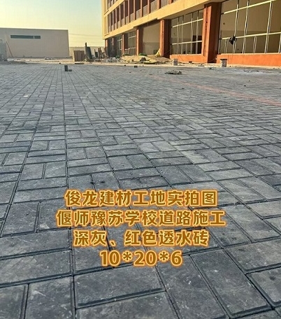 偃師豫蘇學(xué)校道路施工 深灰、紅色透水磚 10*20*6