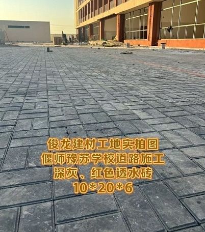 偃師豫蘇學校道路施工 深灰、紅色透水磚 10*20*6