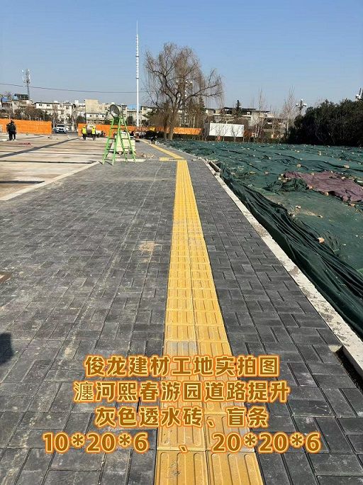 瀍河熙春游園道路提升 （灰色透水磚、盲條）